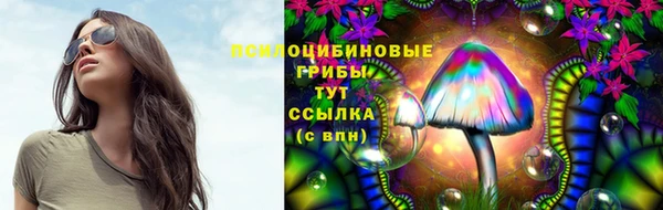 прущая мука Новодвинск
