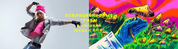 соль ск Абдулино