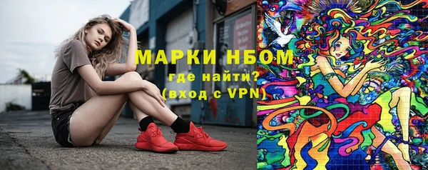 ГАЛЛЮЦИНОГЕННЫЕ ГРИБЫ Абаза