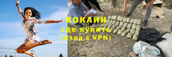 ГАЛЛЮЦИНОГЕННЫЕ ГРИБЫ Абаза