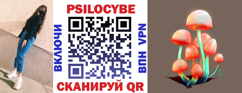 KRAKEN ссылки  купить наркоту  Ачхой-Мартан  Псилоцибиновые грибы Psilocybine cubensis 